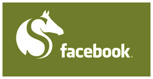 Ganzheitliche Pferdetherapie auf Facebook