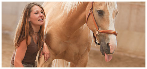 Pferde Physiotherapie