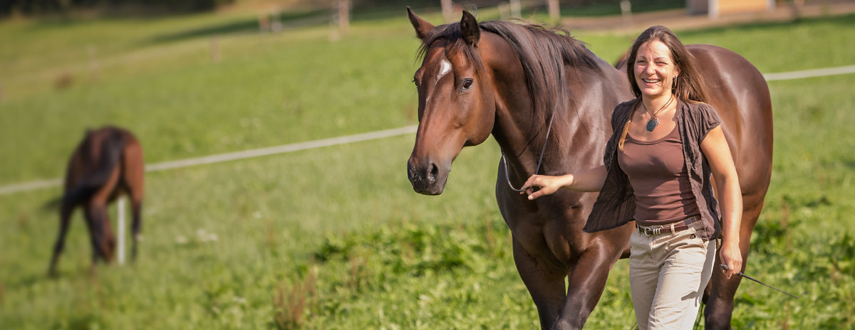 Ganzheitliche Pferdetherapie Sarah Schaffner
