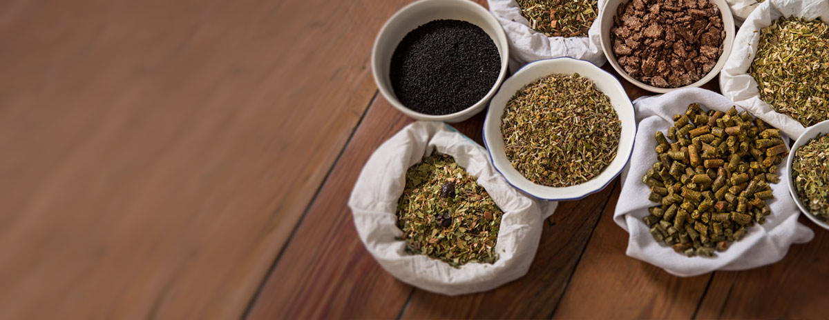 Fütterung, Haltung für gesunde Pferde