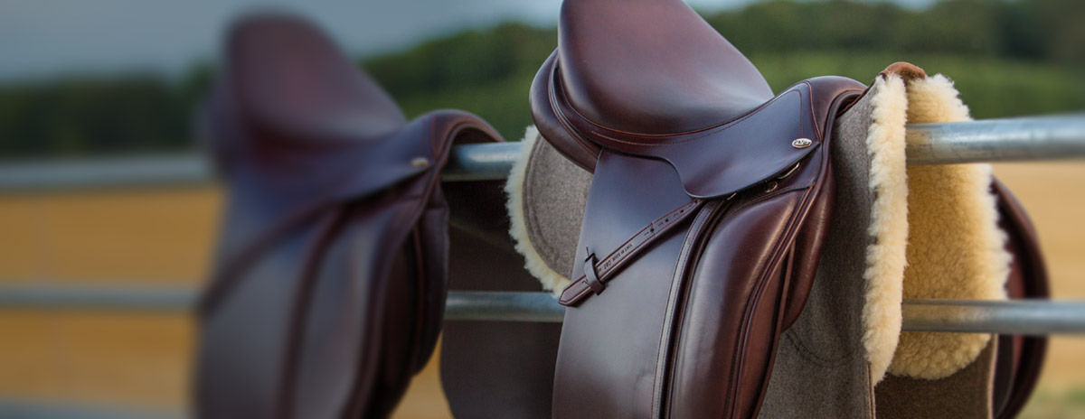 Training, Bodenarbeit gesundes Pferd